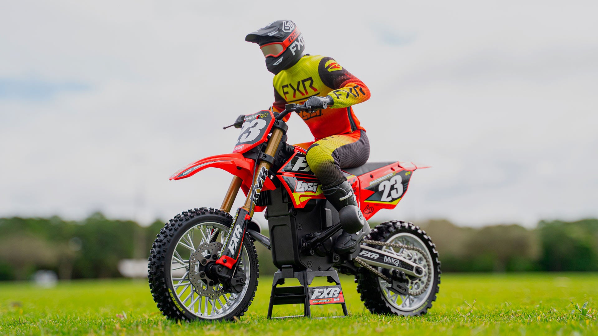 LOSI