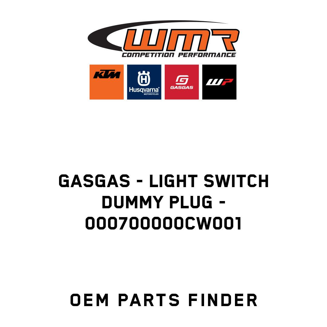 Light switch dummy plug