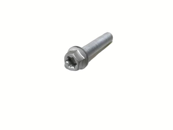 HH COLLAR SCREW M6X45 TX30