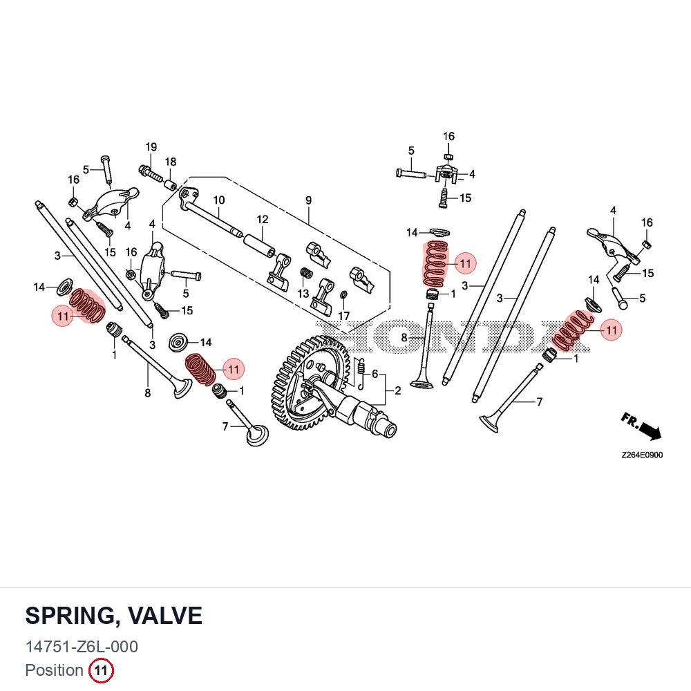 SPRING, VALVE