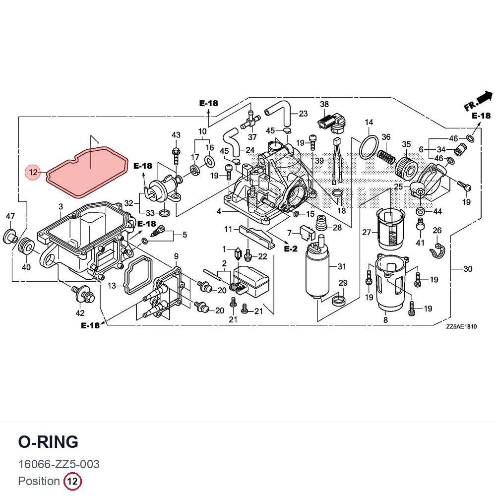 O-RING