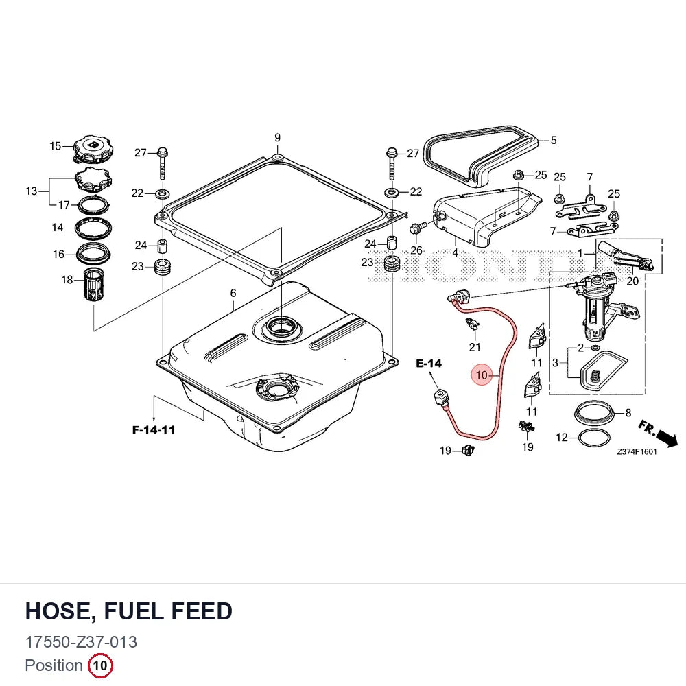 HOSE, FUEL FEED