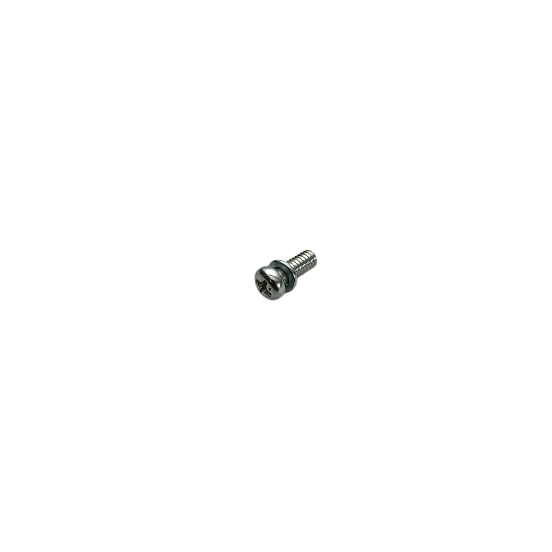 SPECIAL SCREW