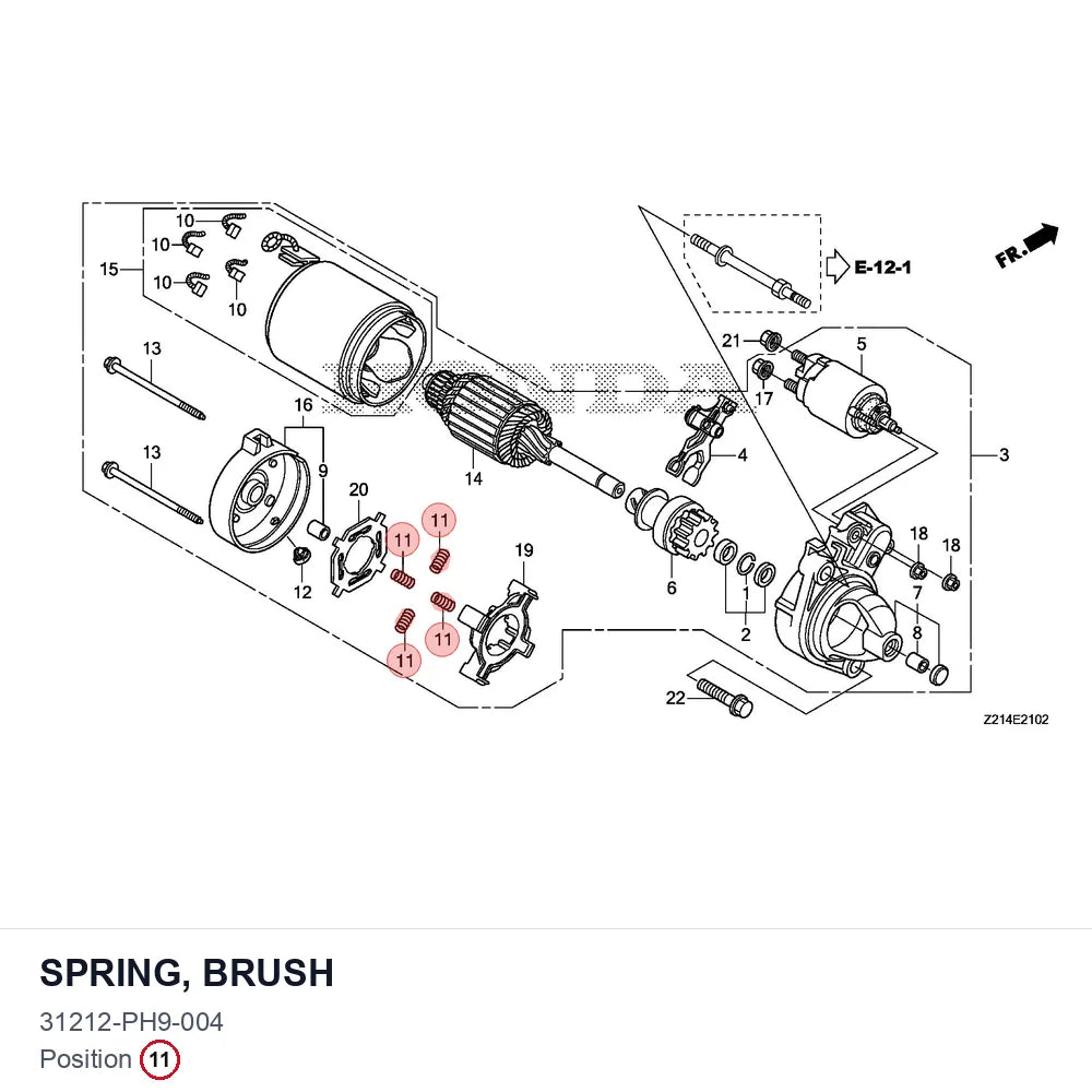 SPRING, BRUSH