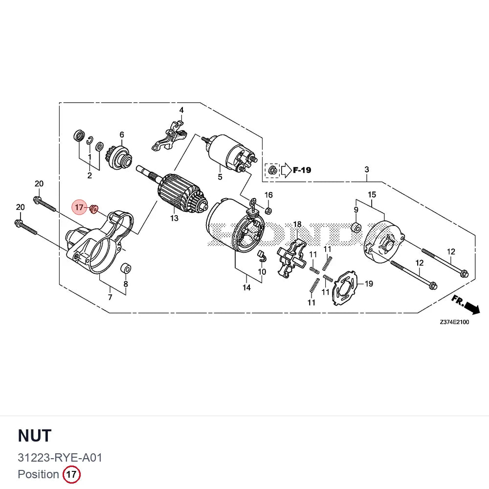 NUT