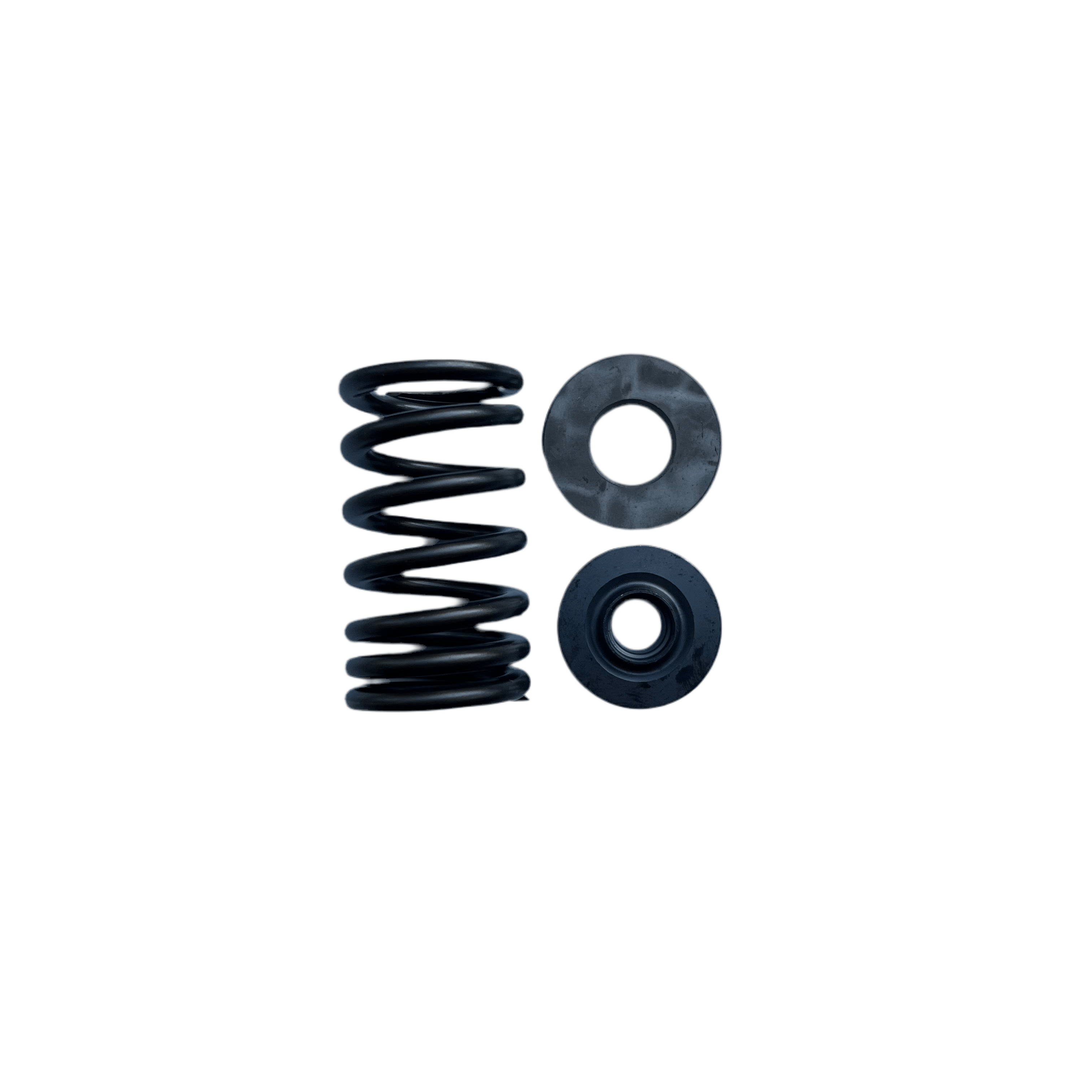 VALVE SPRING KIT 09