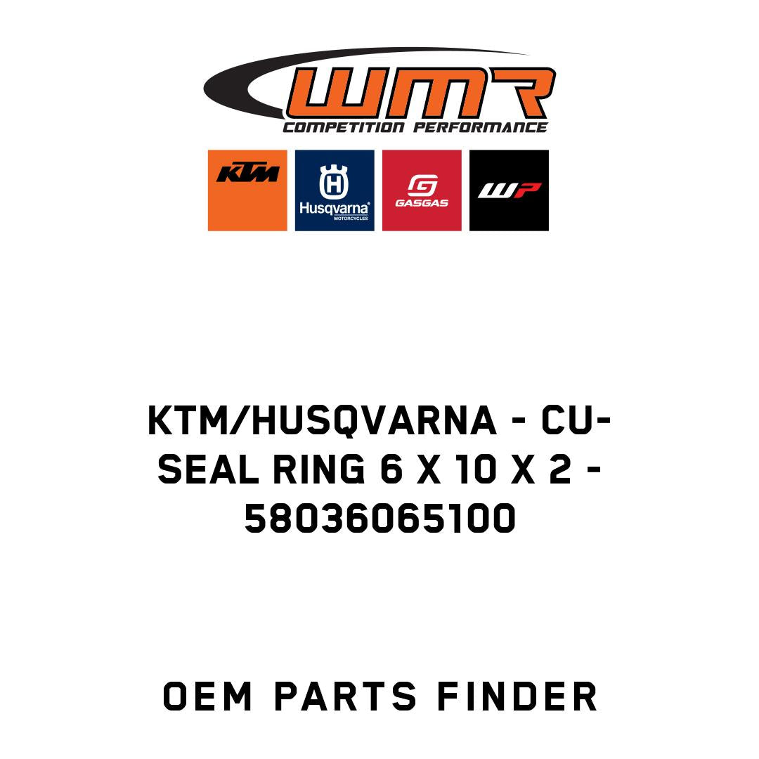 CU-SEAL RING 6 X 10 X 2