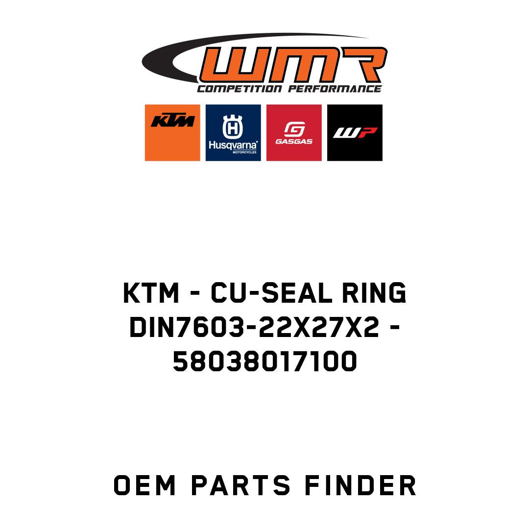 CU-SEAL RING DIN7603-22X27X2