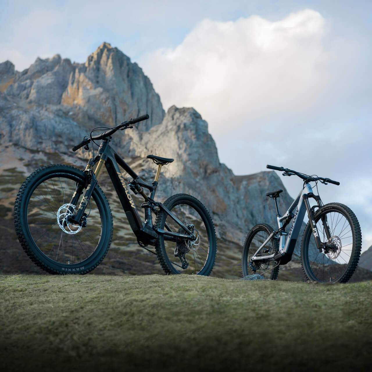 Amflow PL Carbon (800Wh) Electric Mountain Bike - product photo