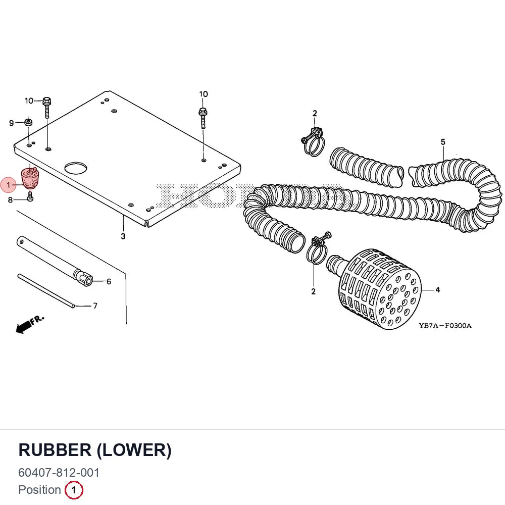 RUBBER (LOWER)
