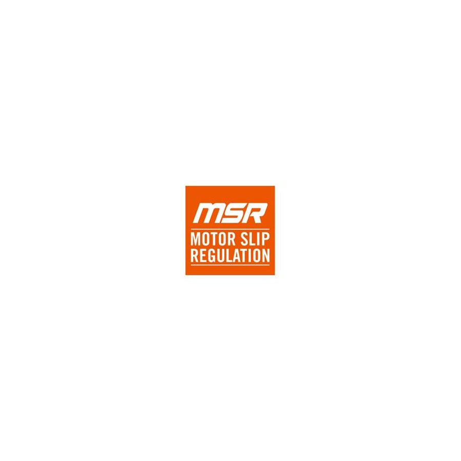 MOTOR SLIP REGULATION