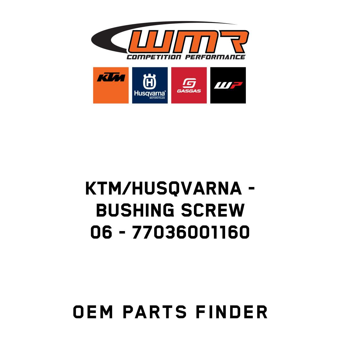 BUSHING SCREW 06