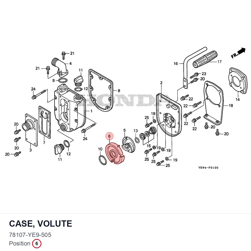 CASE, VOLUTE