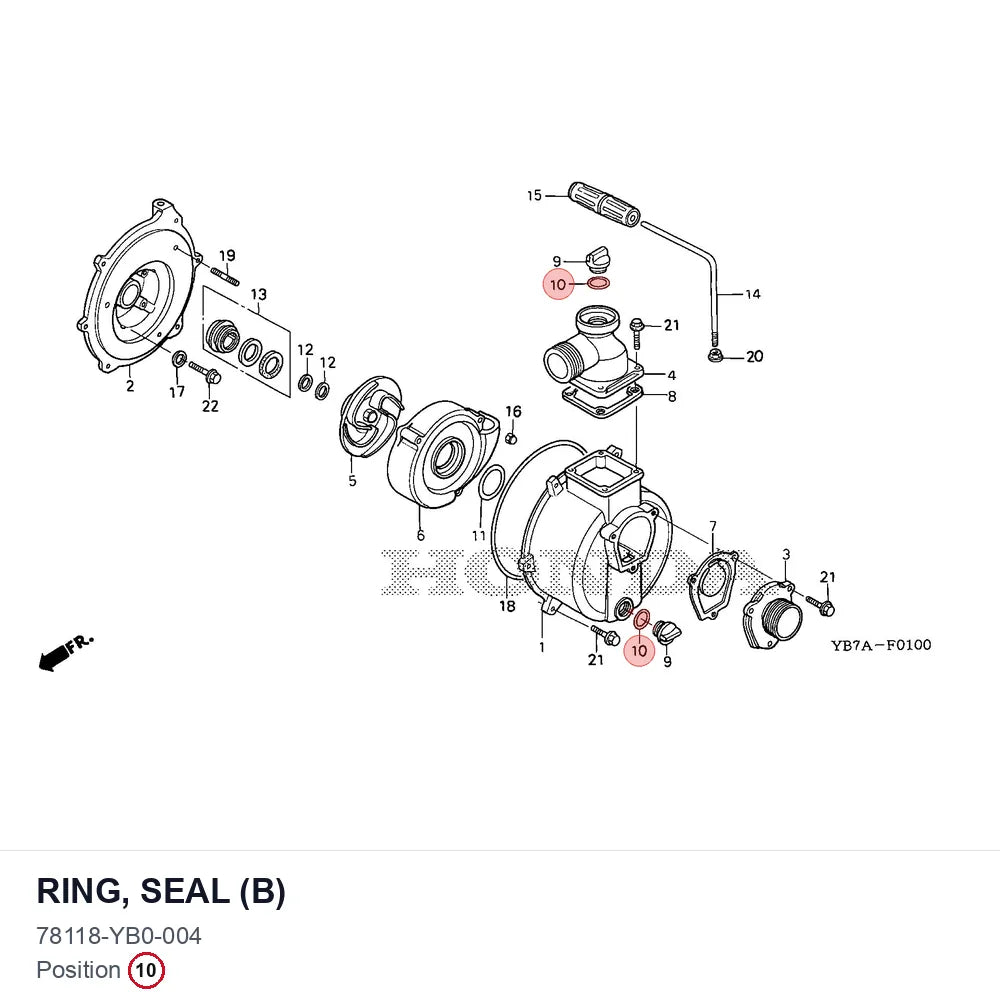 RING, SEAL (B)