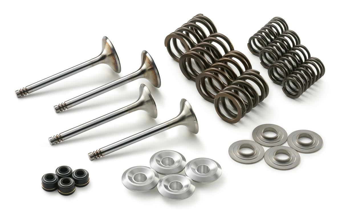 Valve Kit 450