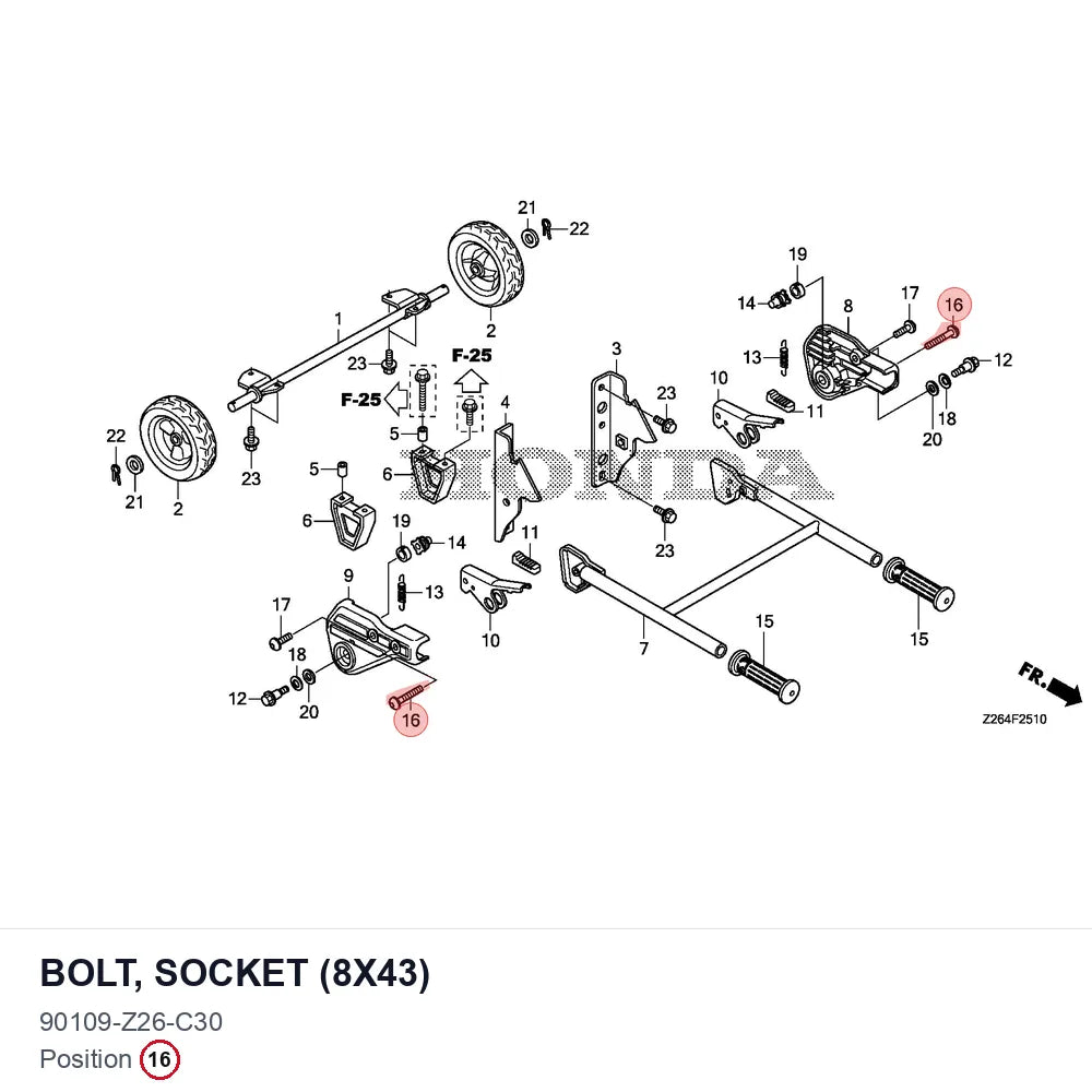 BOLT, SOCKET (8X43)
