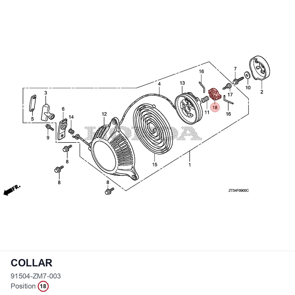 COLLAR