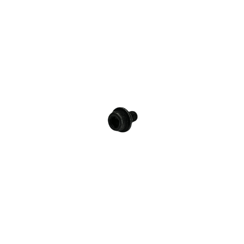 SPECIAL SCREW