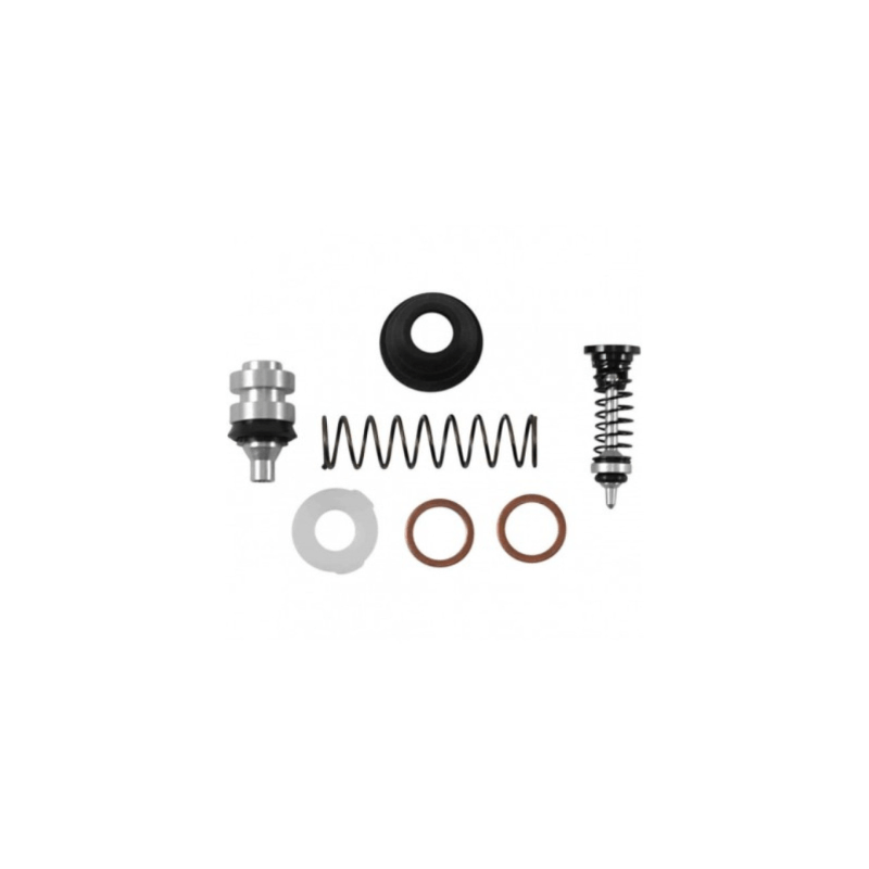 Piston kit