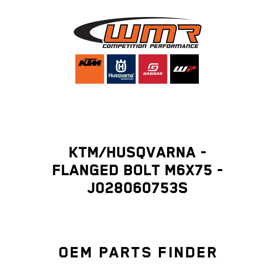 FLANGED BOLT M6X75