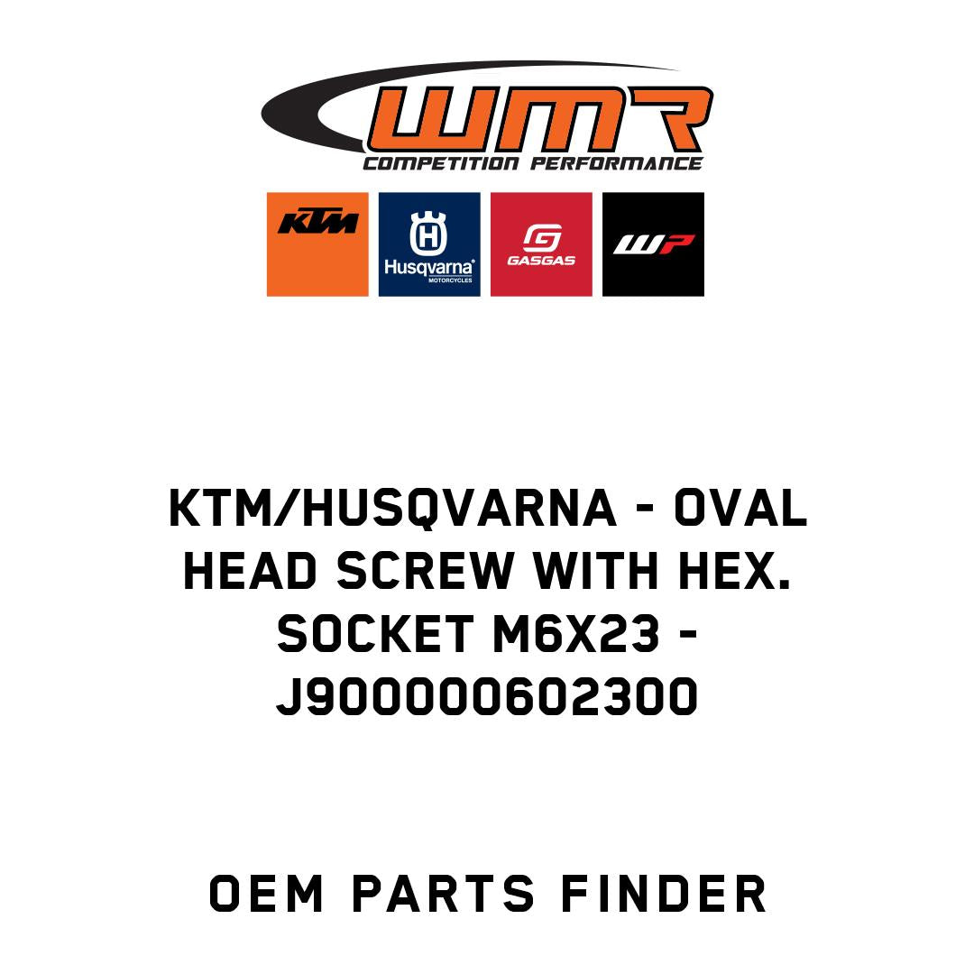 Oval head screw with hex. socket M6x23