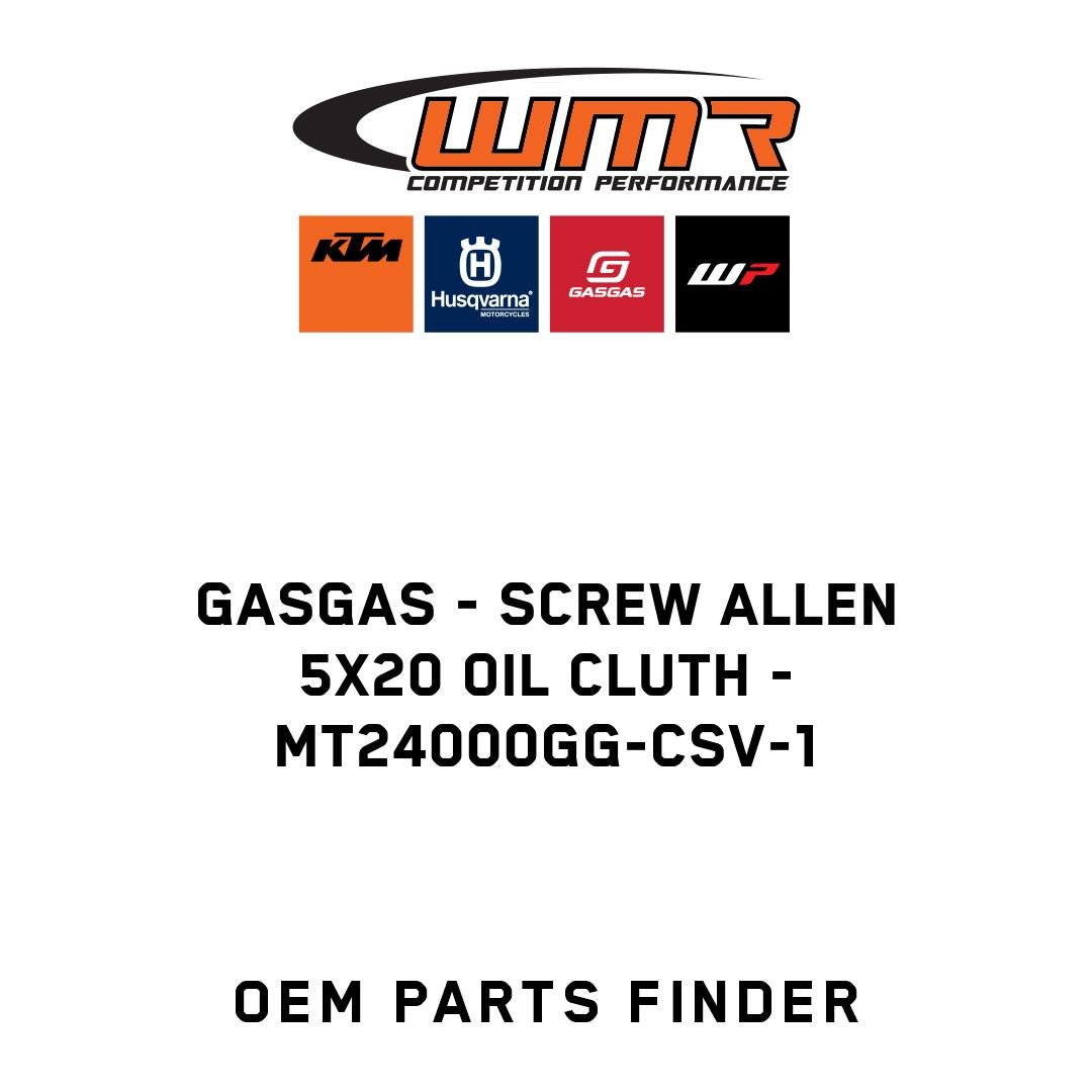 Screw allen 5x20 oil cluth