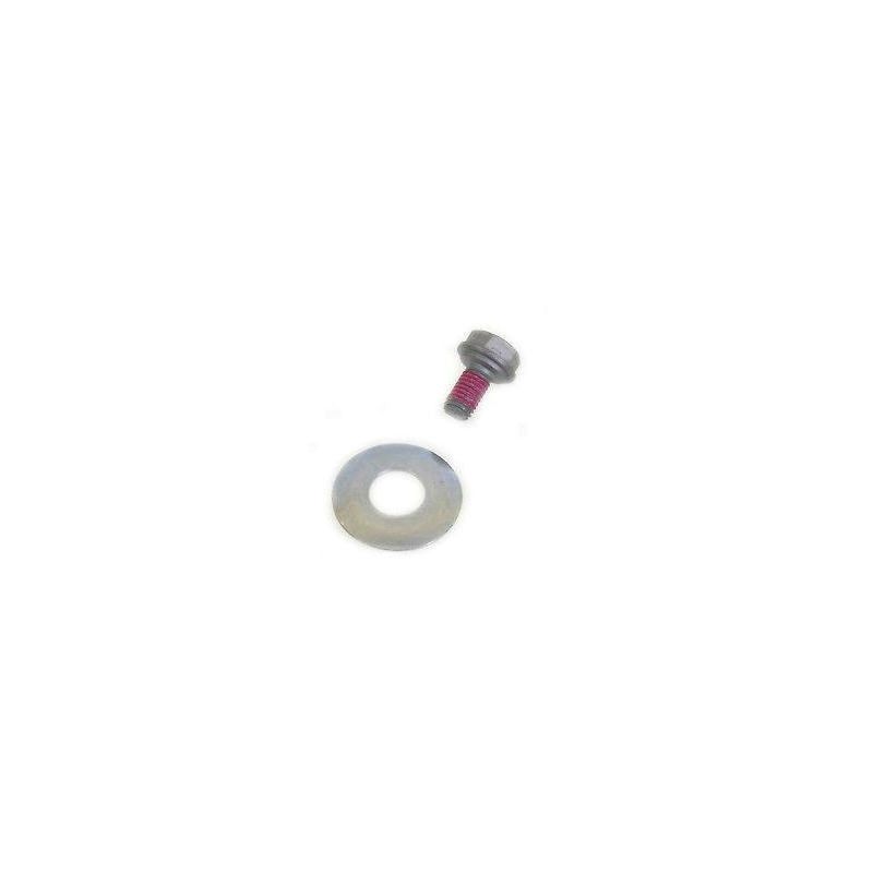 SCREW 10.9+SPRING WASHER