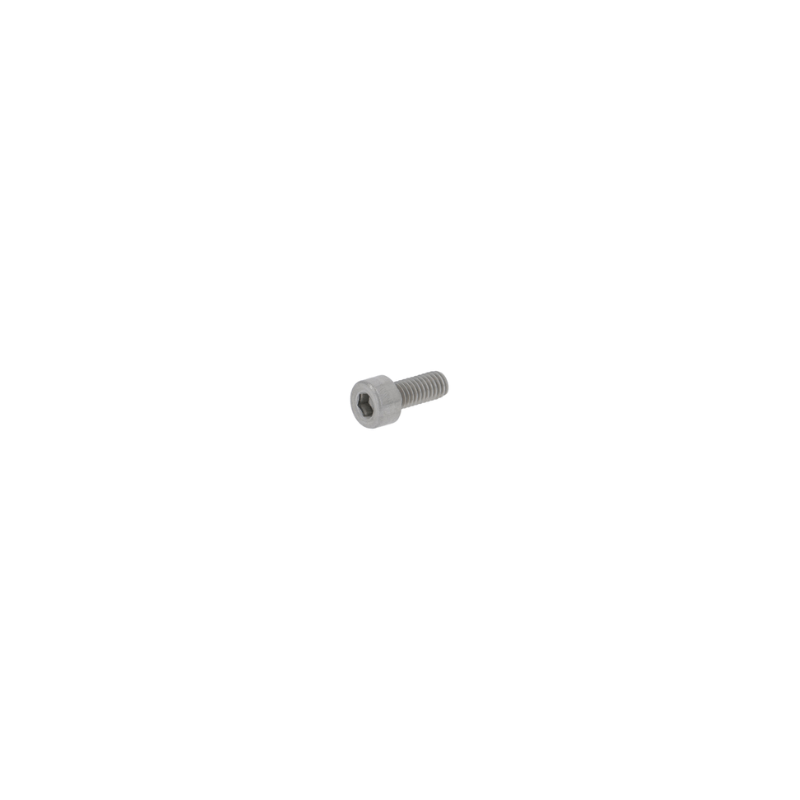 Cylinder screw DIN 912-M4x10-8.8 SS
