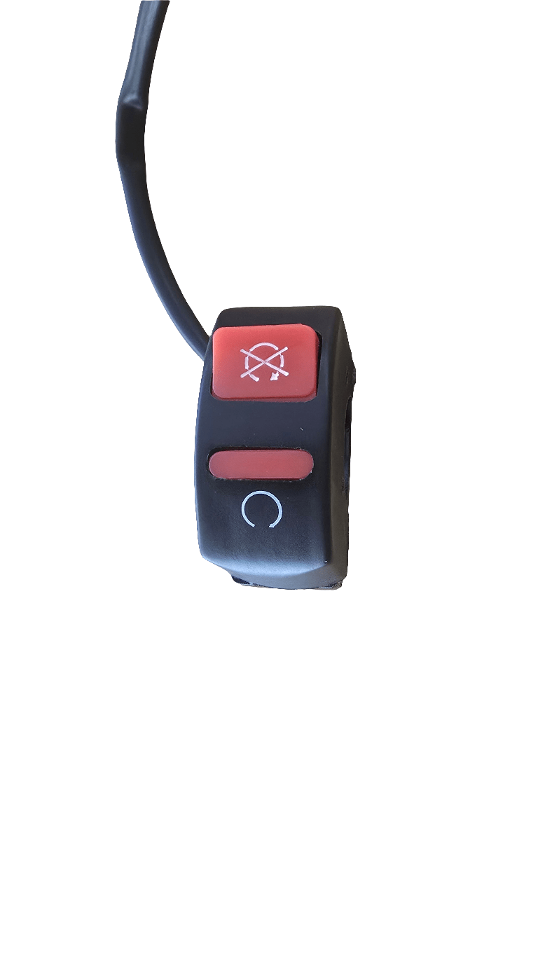 FLASHER SWITCH CEV '98