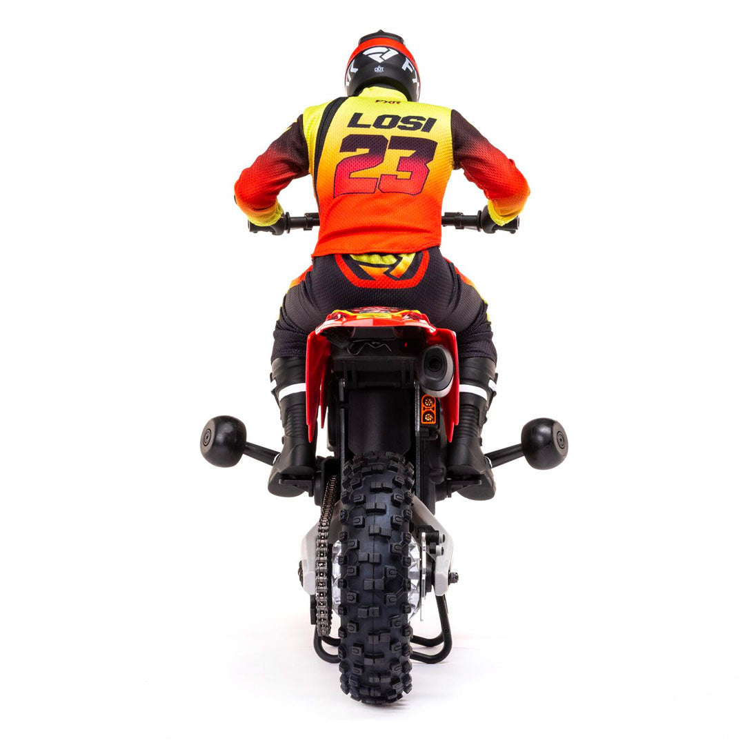 1/4 Promoto-MX Motorcycle RTR, FXR - Red - Losi - LOS06000T1