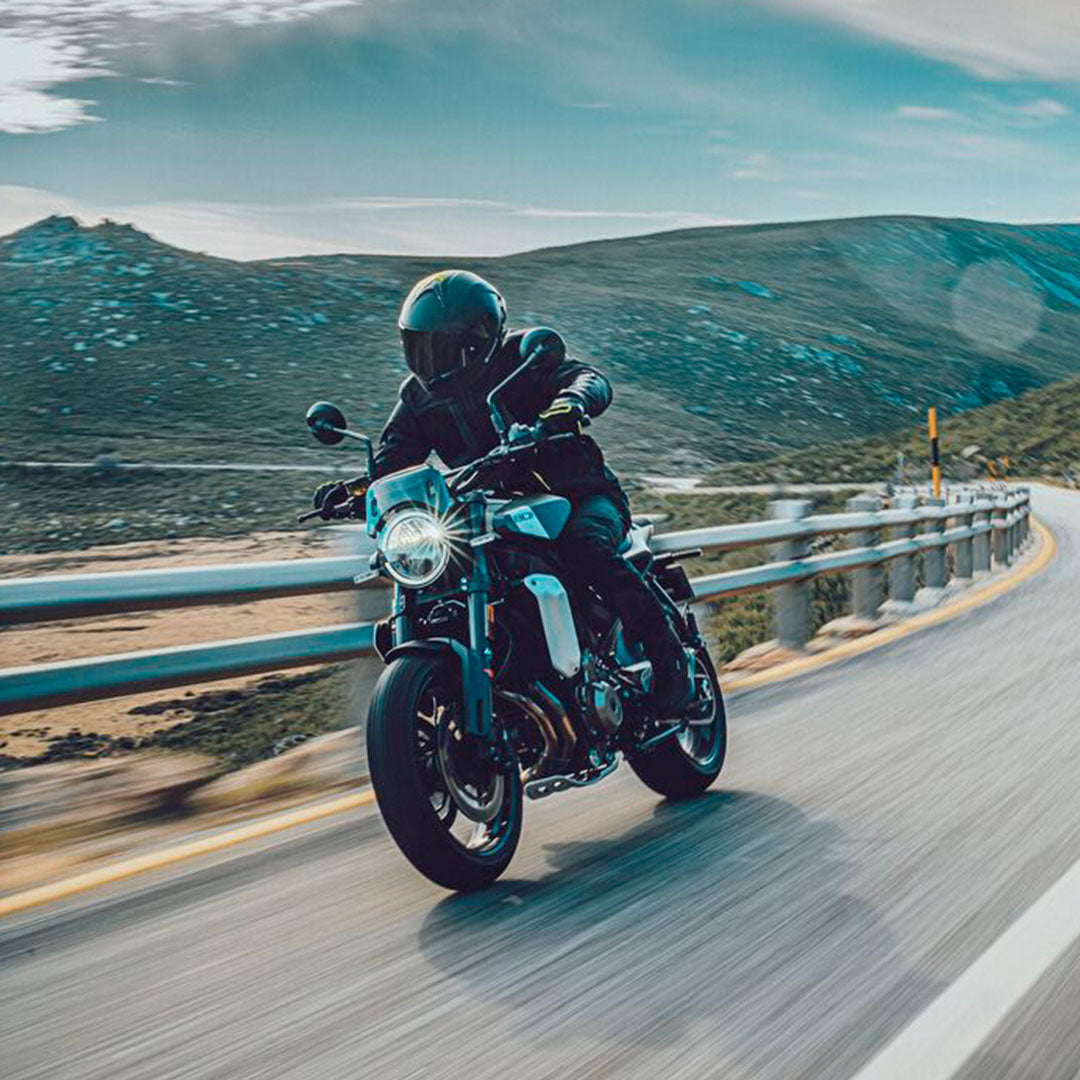 2025 Husqvarna Motorcycles Svartpilen 801