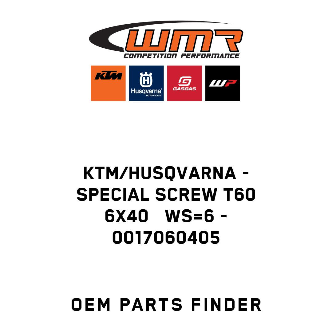 SPECIAL SCREW T60  6X40   WS=6