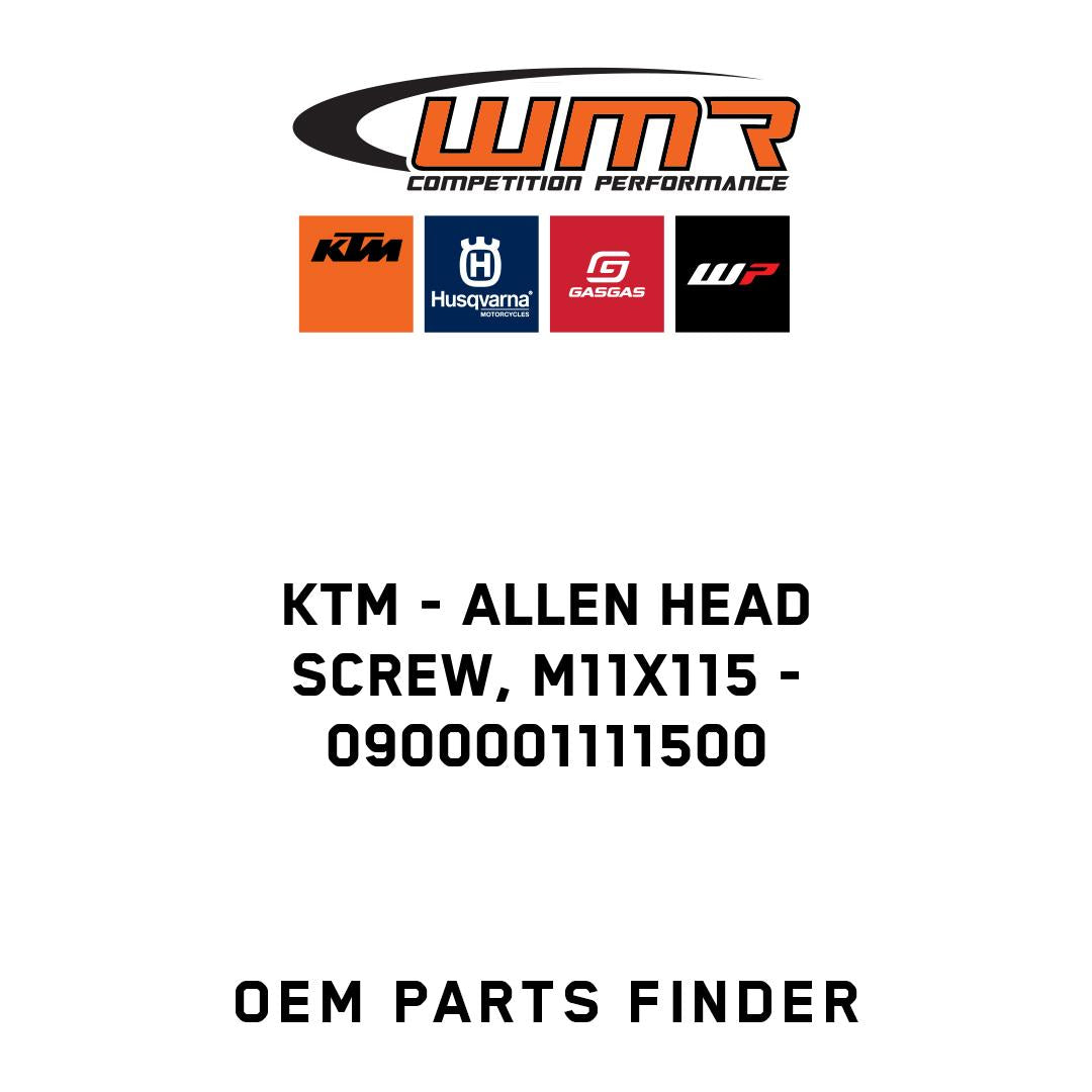 Allen head screw, M11x115