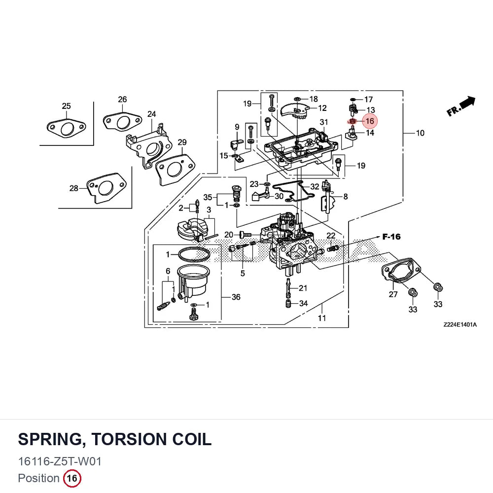 SPRING, TORSION COIL