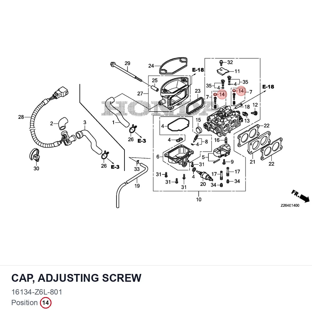 CAP, ADJUSTING SCREW