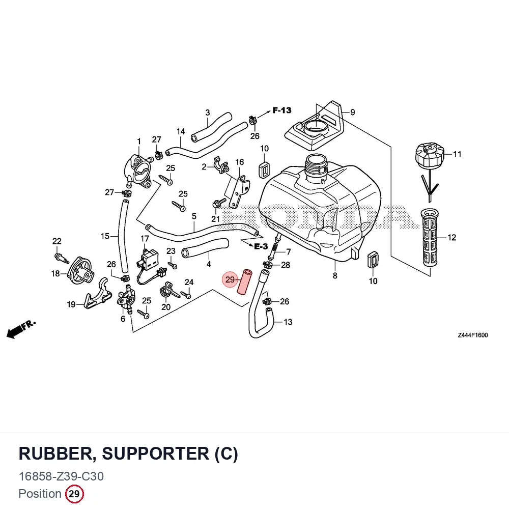 RUBBER, SUPPORTER (C)
