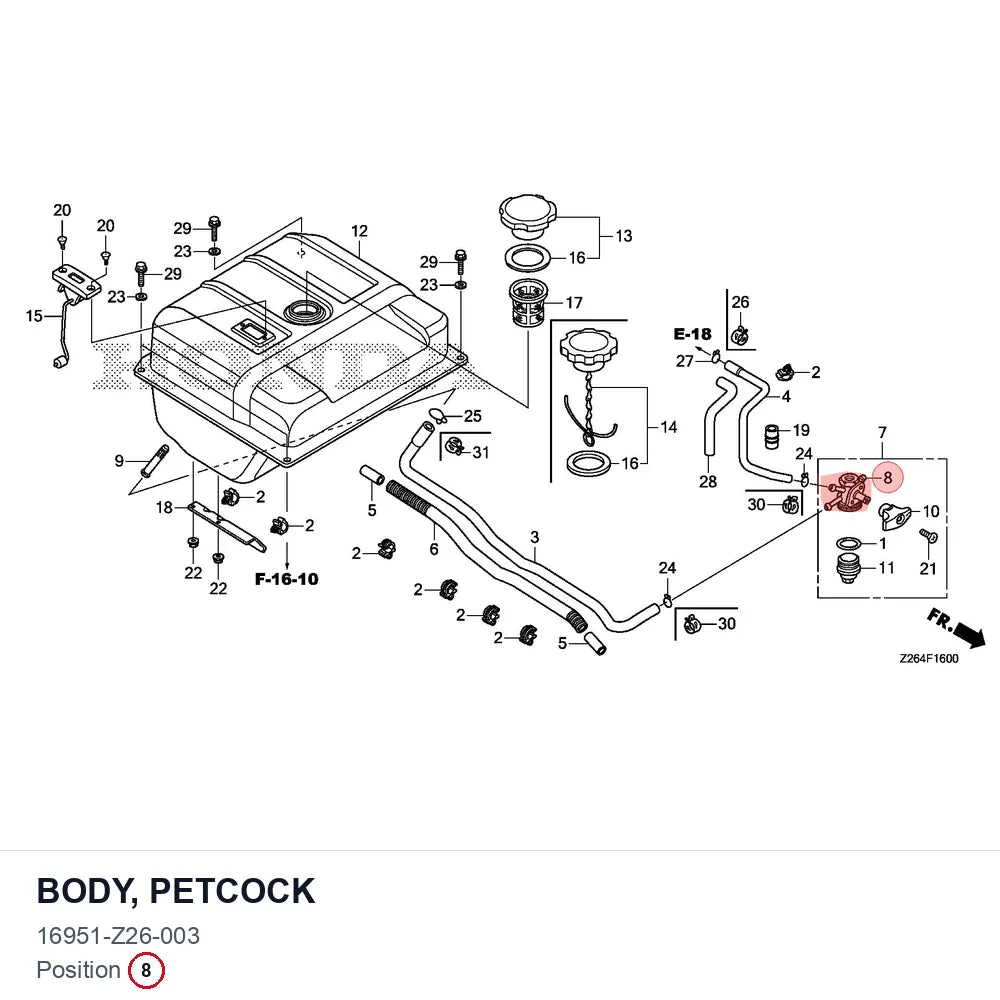 BODY, PETCOCK