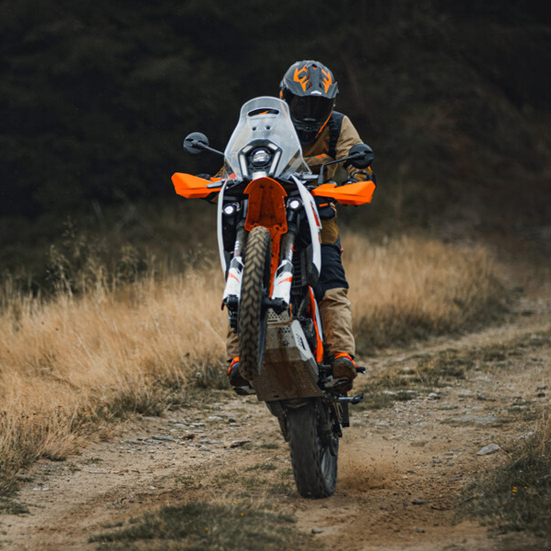 2025 KTM 390 Adventure R