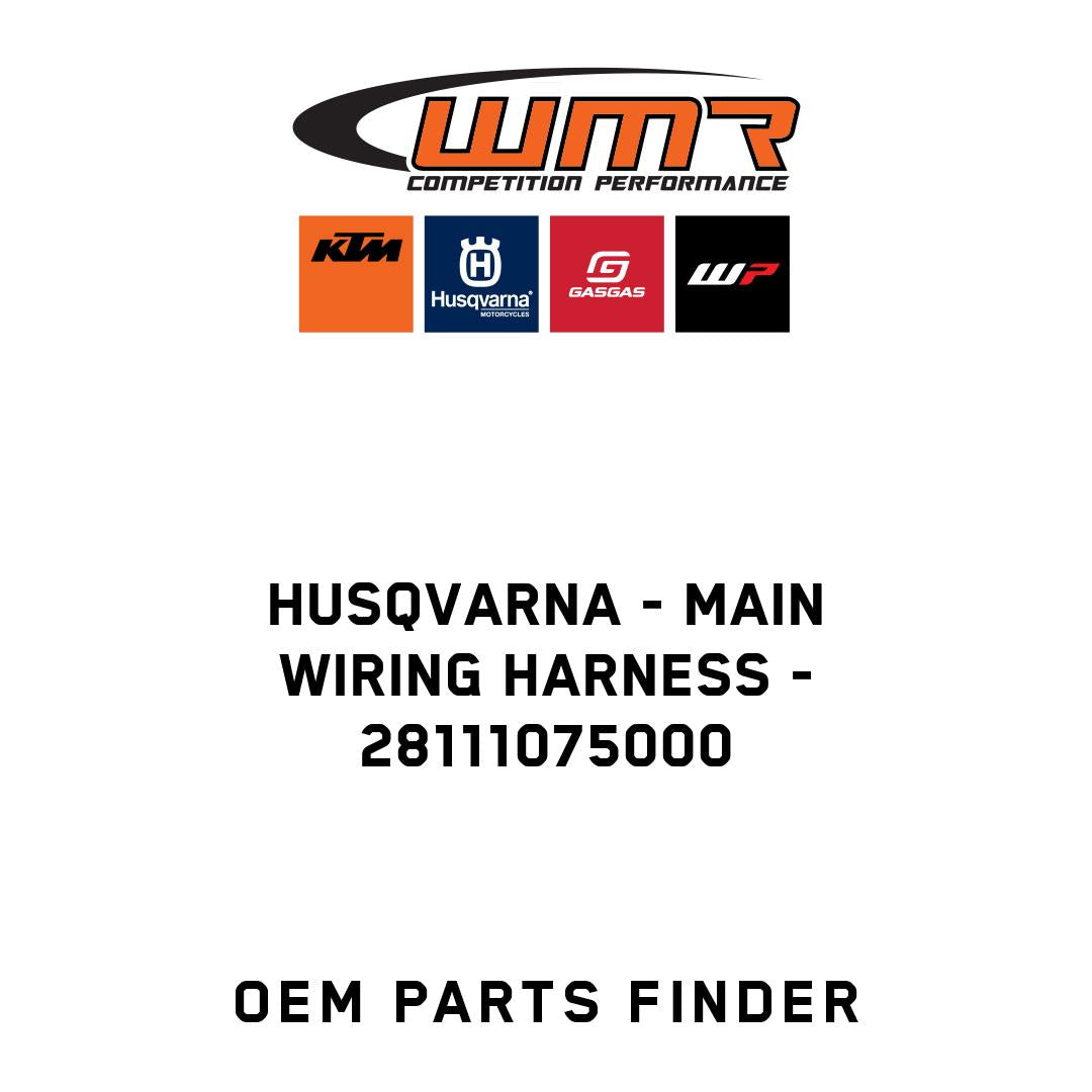 Main wiring harness