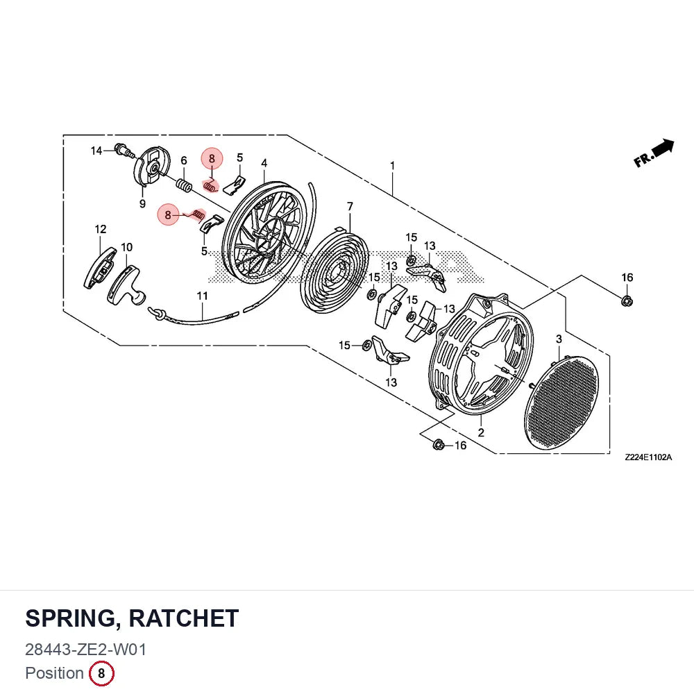 SPRING, RATCHET
