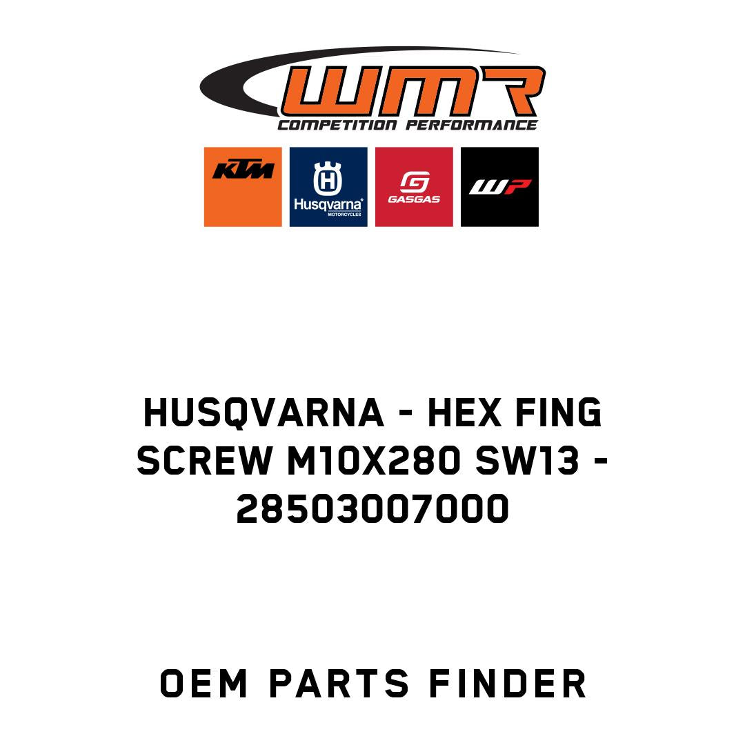Hex fing screw M10X280 SW13