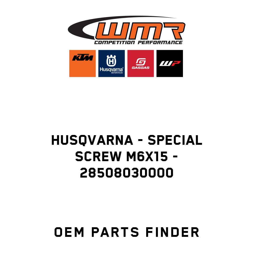 special screw M6x15