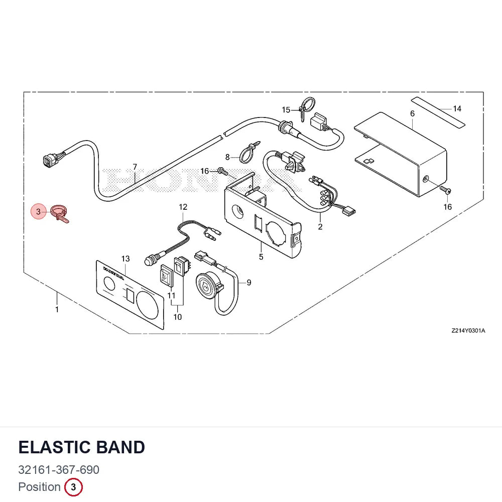 Elastic Band