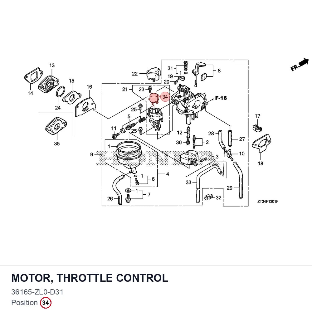 MOTOR, THROTTLE CONTROL