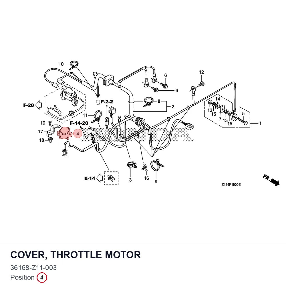 COVER, THROTTLE MOTOR