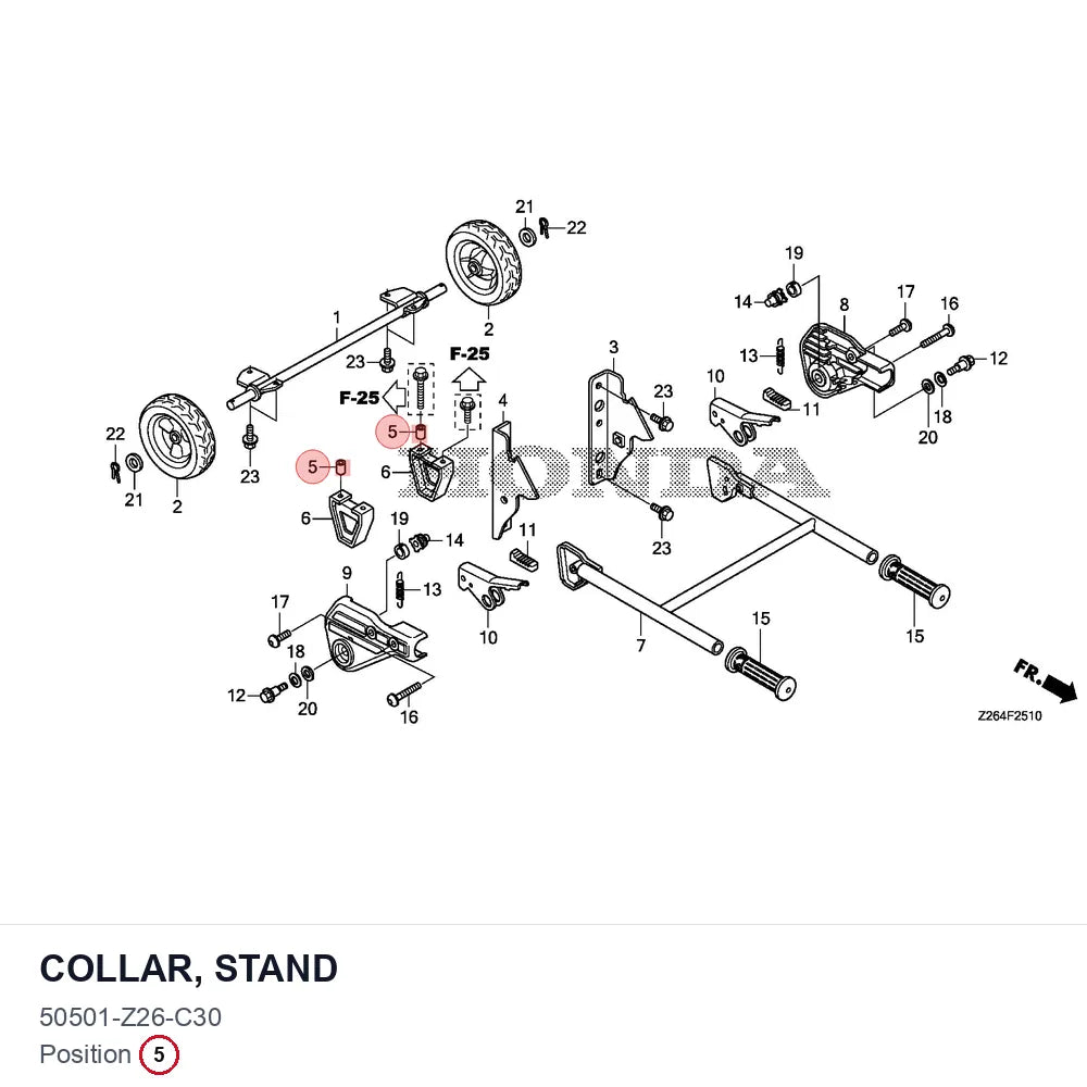 COLLAR, STAND