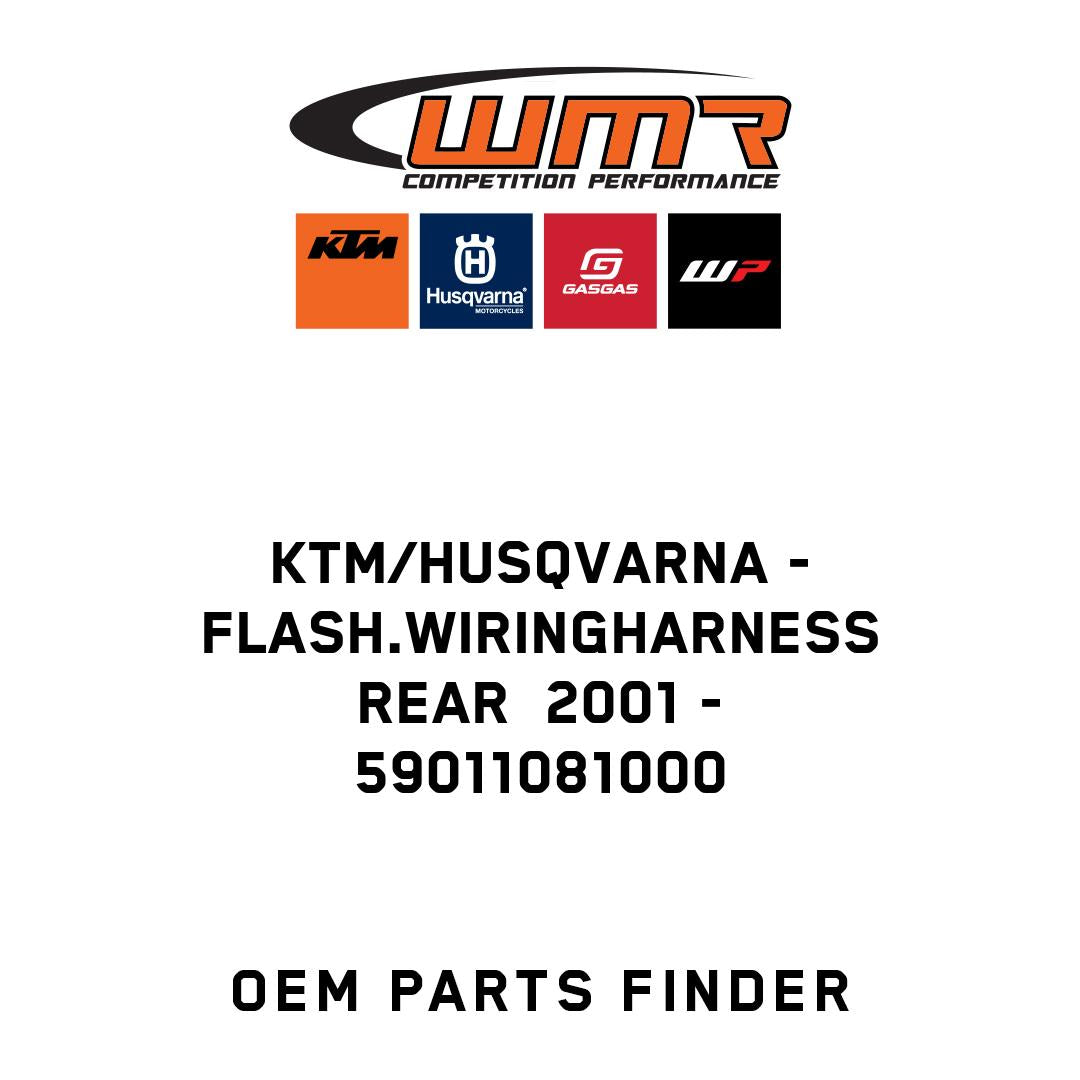 FLASH.WIRINGHARNESS REAR  2001