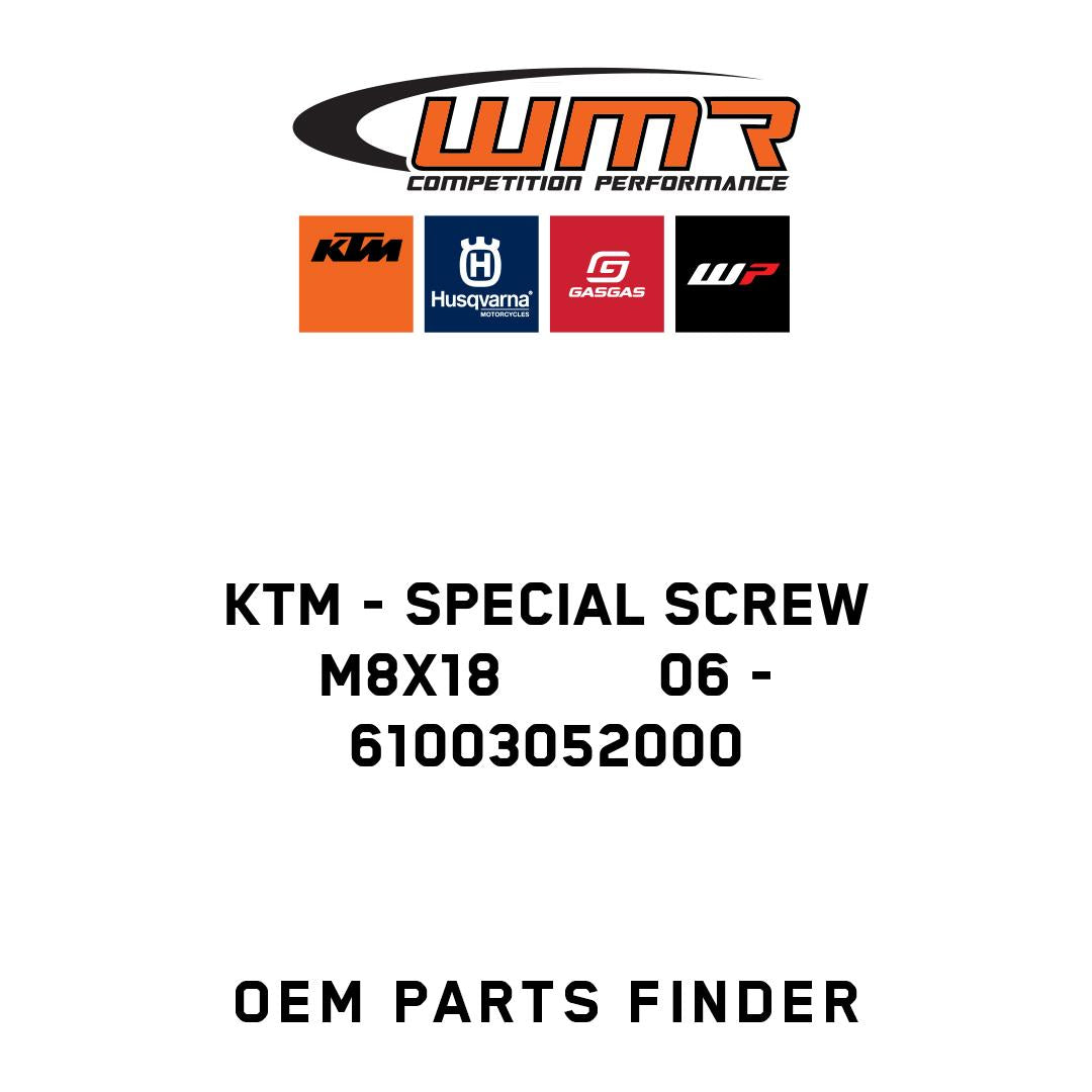 SPECIAL SCREW M8X18         06