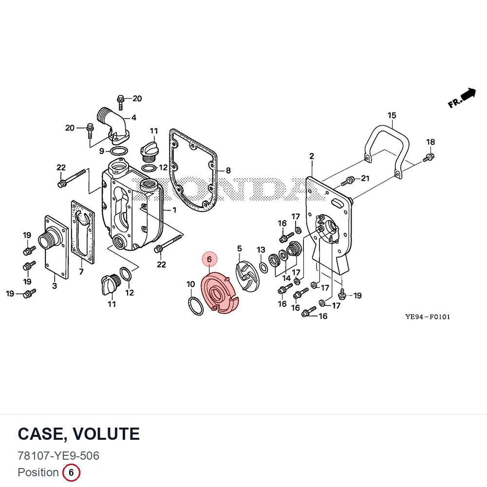CASE, VOLUTE