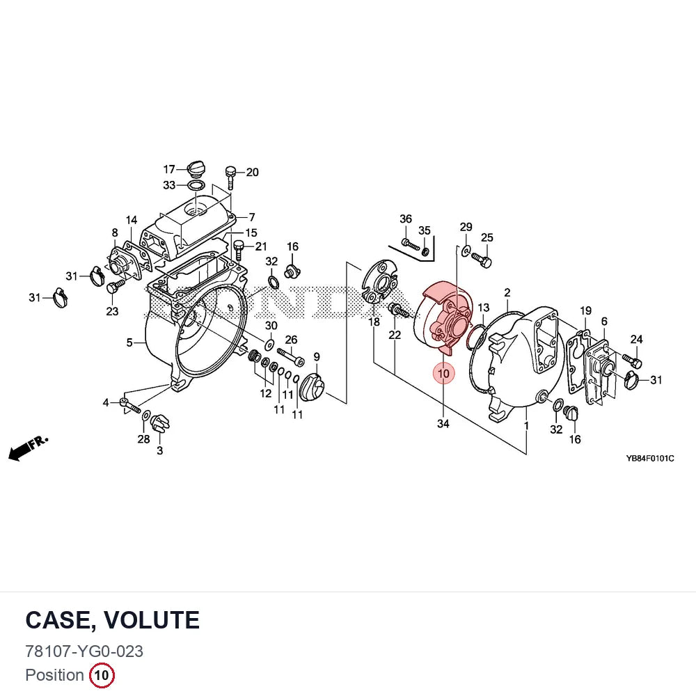 CASE, VOLUTE
